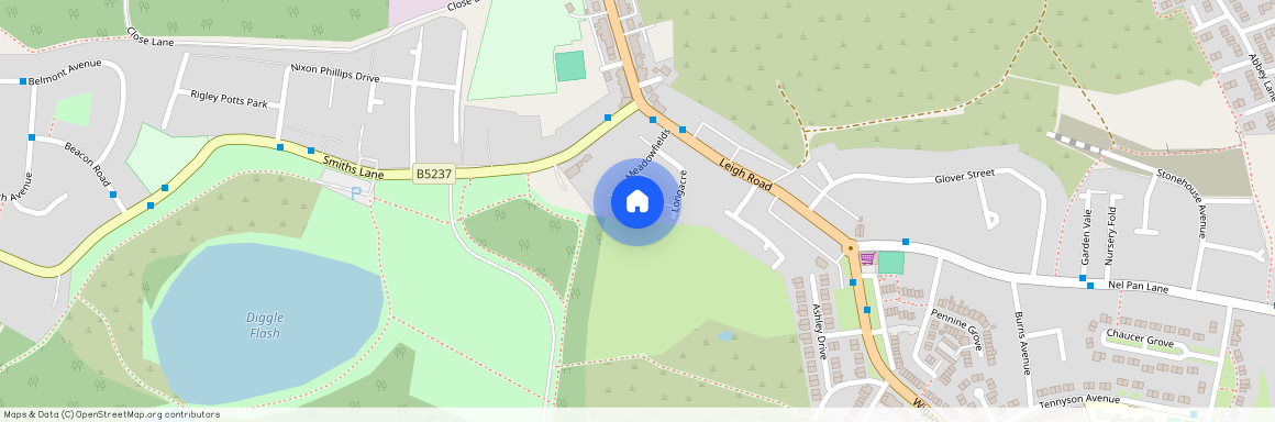 Meadowfields, Hindley Green