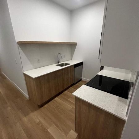 1 CH - 1 SDB - Montréal - $1,895 /mo - Photo 3