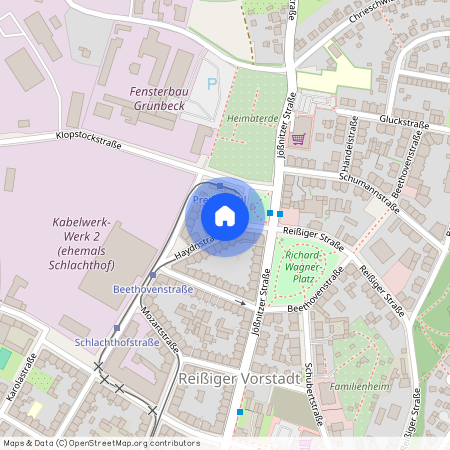 Haydenstraße 7, 08525 Sachsen - Plauen