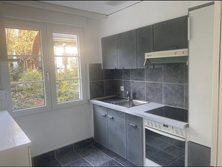 2.5 Zimmer, 52 m², EG - Foto 2
