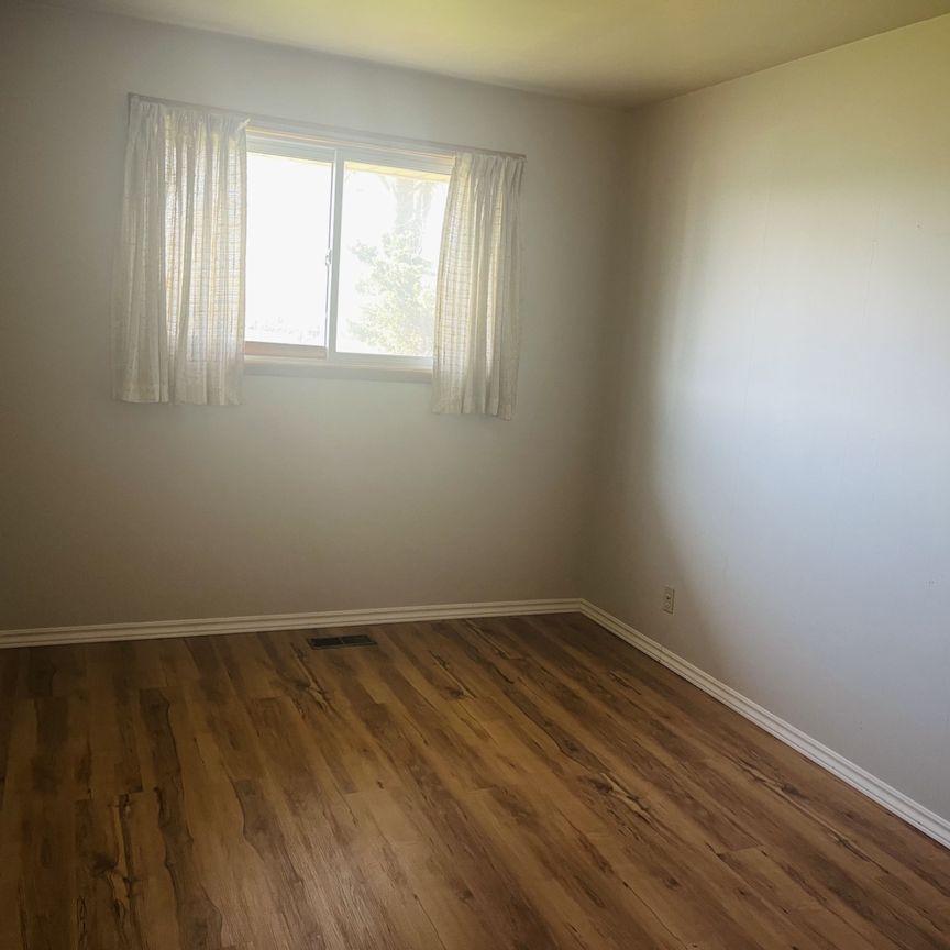 For Lease - 157 Schweitzer Street, Waterloo, Ontario - Photo 1