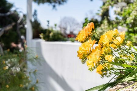 Διαμέρισμα για ενοικίαση Κάτω Κηφισιά (Κηφισιά) - Φωτογραφία 2