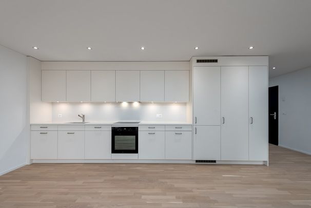 Top moderne Wohnung im Kreis 9, Zürich Albisrieden - Foto 1