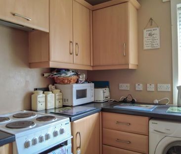 73 Ballyvaddy Road, Dungannon, BT70 1LQ - Photo 6
