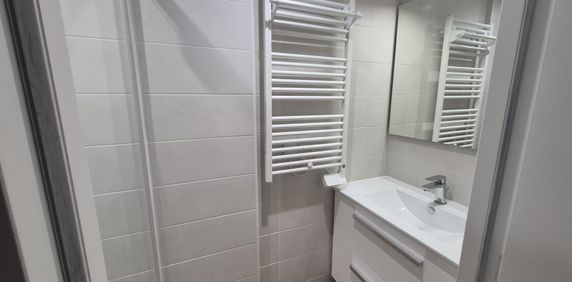 Location Appartement 2 pièces 30m² CONDRIEU 69420 - Photo 2
