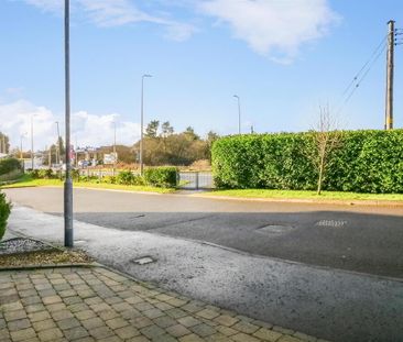 36 Danesfort Park, Saintfield Road, Carryduff, Belfast, BT8 8FG - Photo 3