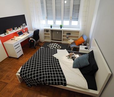 Corso Luigi Einaudi, Turin, Piedmont 10129 - Photo 2