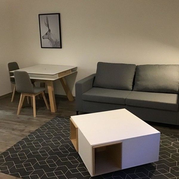 Möbliertes 1 Zimmer-Appartement im EG! Für Studenten bestens geeignet! - Photo 1