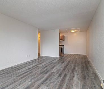 Renovated One Bedroom near Oak Bay Junction - Photo 3