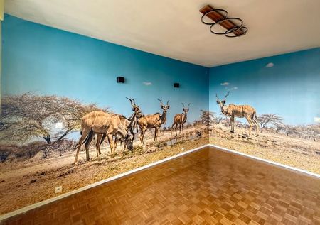 Penthouse te huur - Photo 5