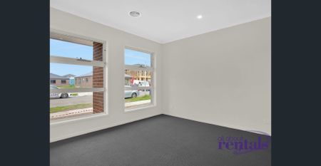 Daisy Dreaming! - Photo 4