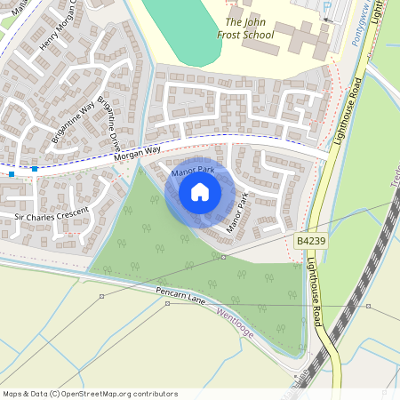 MANOR PARK, NEWPORT, NP10 8SD