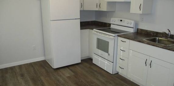 Newly Renovated Suite - Photo 2