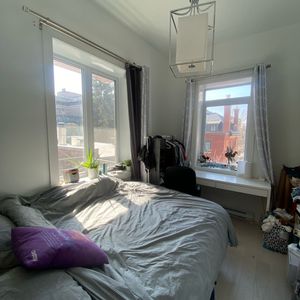 McGill Area - Superb 5 1/2 Furnished - Photo 3