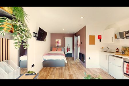 Studio Flat, Pershore Rd, B30 - Photo 3
