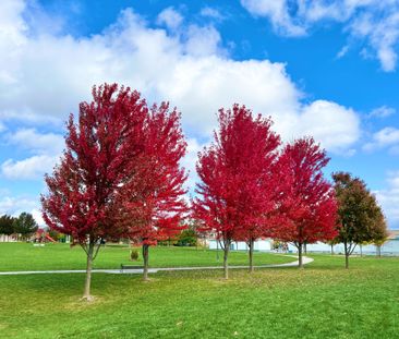 For Lease - 73 Castleglen Boulevard, Markham, Ontario - Photo 6