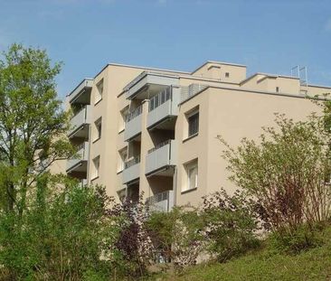 Attractive apartment for rent in Uster - Foto 3