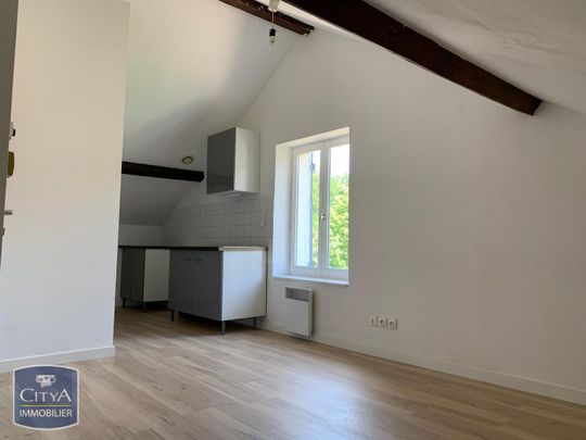 Location Appartement 1 pièce 14m² PONT DE CHERUY 38230 - Photo 1
