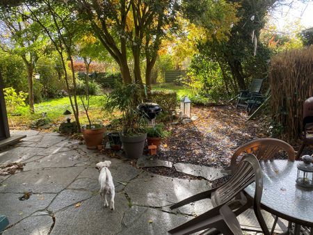 Mooie zeer zonnige kamer te huur met uitzicht op de tuin - Foto 5