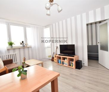 Toruń, Mokre, Toruń - Photo 4