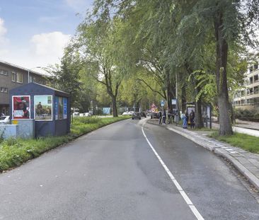 Appartement te huur: Thorbeckelaan 334-D 2564 BZ Den Haag - Photo 4