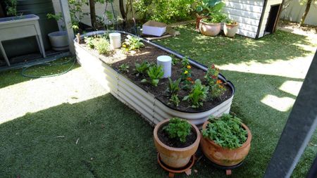 Auchenflower - Photo 4