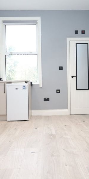 Studio Flat, Nightingale Grove, SE13 - Photo 1