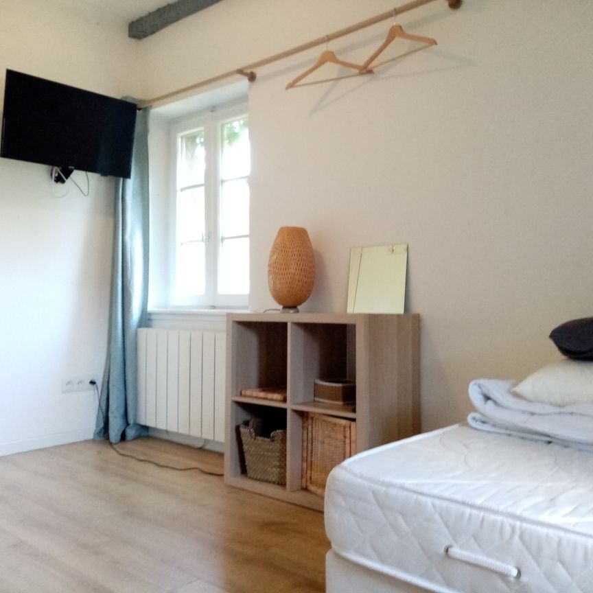 Location Appartement 1 pièce 10m² STRASBOURG 67000 - Photo 1