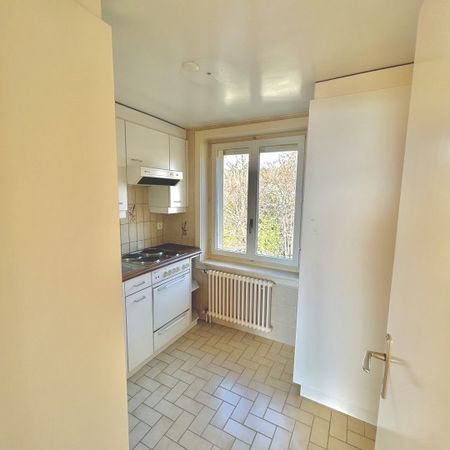 Avenue Mon-Repos 34, 1005 LAUSANNE | Appartement 2 pièces - Photo 2