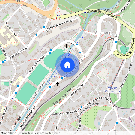 Avenue de Gilamont 19B - E, 1800 Vevey