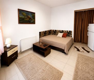 Apartament cu o cameră Traian - Photo 4