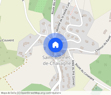 Location Appartement à ST BONNET DE CHAVAGNE - Photo 1