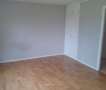 Småkullavägen, Larv - Foto 2