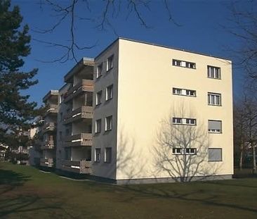 3.5 Zimmer, 78 m², 1. Stock - Foto 6