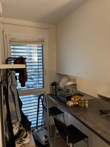 Pleasant furnished studio in the Plainpalais/HUG Hospitals area - Foto 3