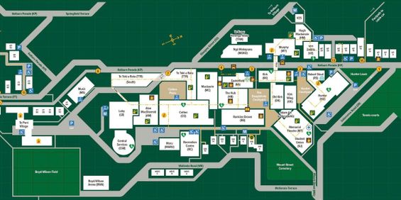 Large 4 Bedroom Home available 26th Jan - Photo 3