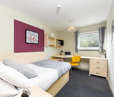 Studio to rent - Photo 4