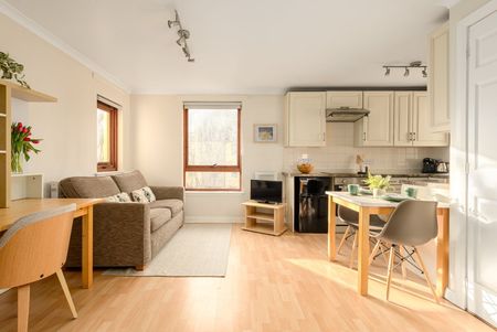 Studio Flat, Damside, EH4 - Photo 2