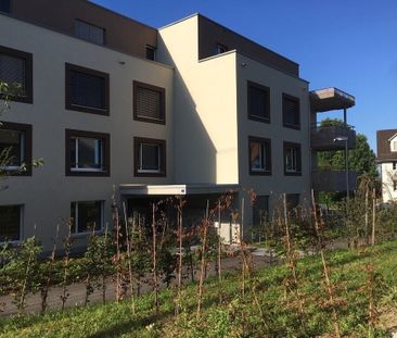 Living between Zurich and Zug - Photo 3