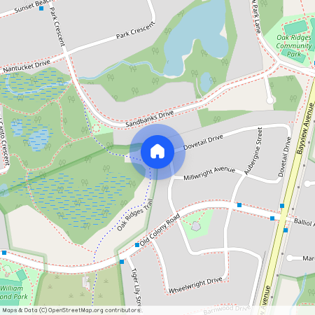 28 Dovetail Drive Unit# Basement, Richmond Hill