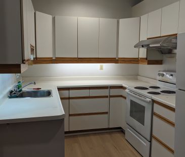 Large 1 Bedroom unit in the heart of Toronto(Annex Area) - Photo 1