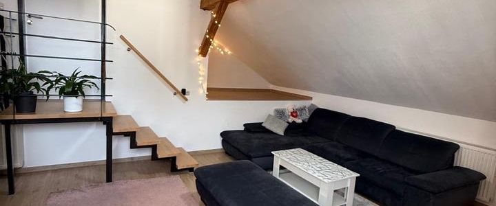 Nachmieter gesucht ab Februar 26 - Photo 1