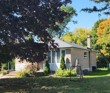 For Lease - 36 Child Drive Unit# Bsmt, Aurora, Ontario - Photo 5