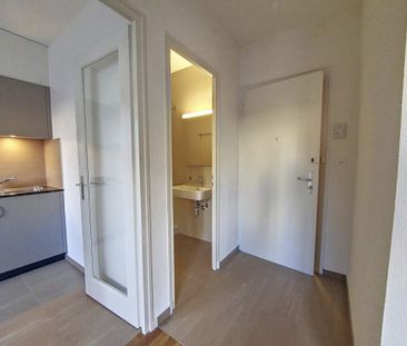Joli appartement de 1 pièce au rez, 33m2 - Photo 1