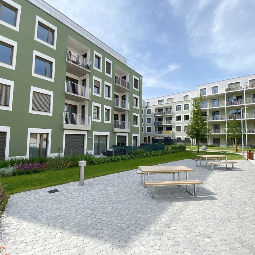 Modern Wohnen im Grünen: Ihr neues Zuhause im Herzen des Tullnerfelds - Foto 1