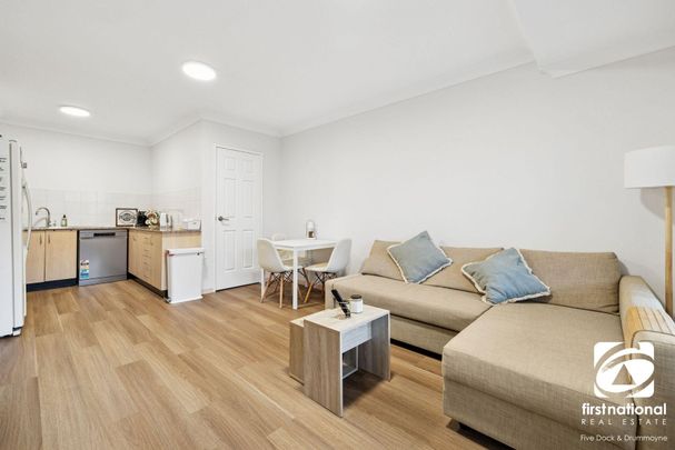 Sunlit and Spacious Apartment in a Convenient Location - Photo 1