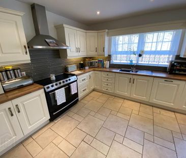 6 MONTH RENTAL, 1 Strangford Park, Downpatrick, BT30 6WQ - Photo 6