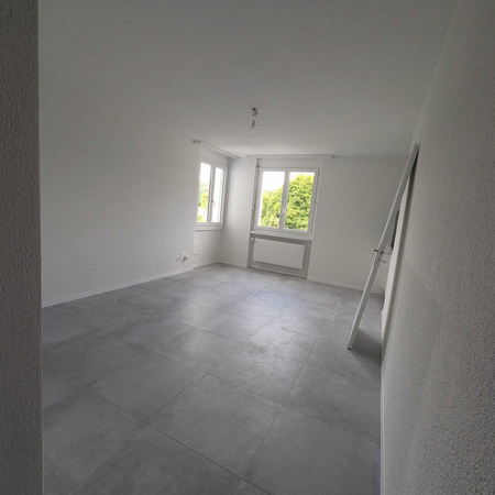 Saniertes Studio im 2. Stock - Photo 4