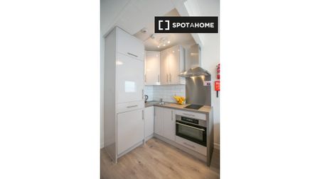 Serviced studio apartment for rent in St Stephen's Green, D2 - Photo 3