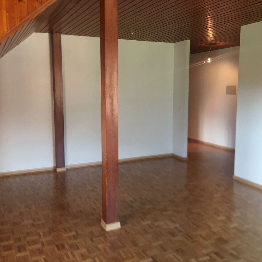 Beautiful 4.5-room apartment in Bex - Photo 1